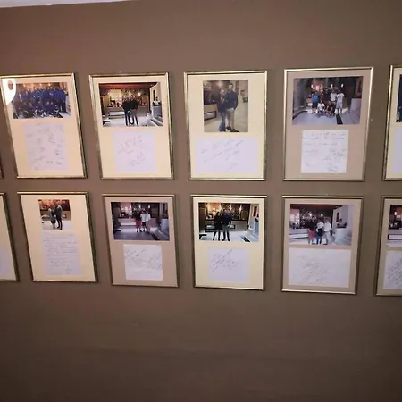 Gala קלוז'-נאפוקה